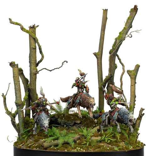Wolf riders squad