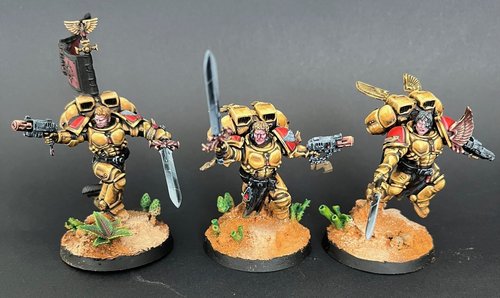 Sanguinary guard