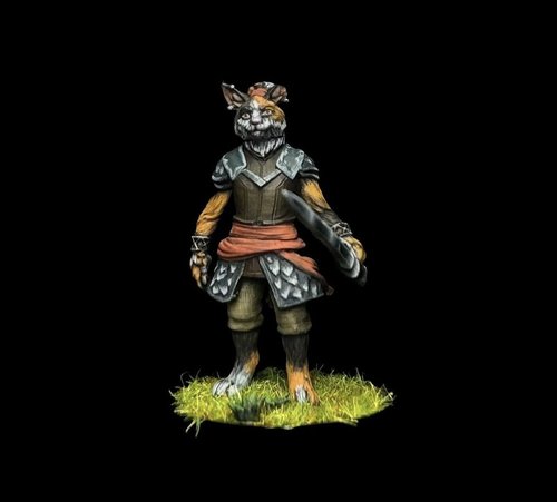 Tabaxi fighter