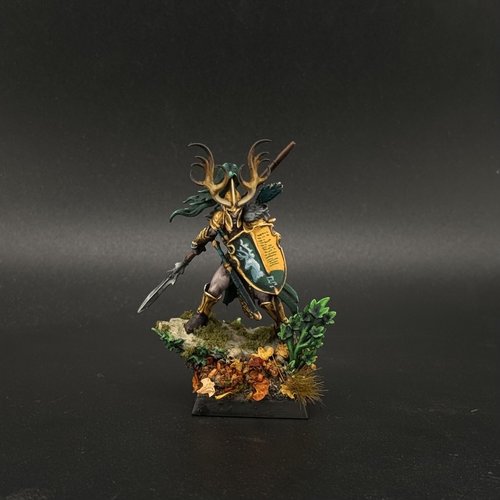 Wood Elf Hero