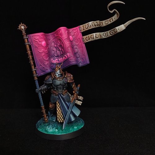 Knight-Vexillor