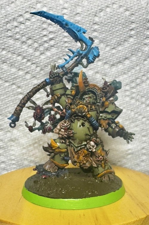 Typhus