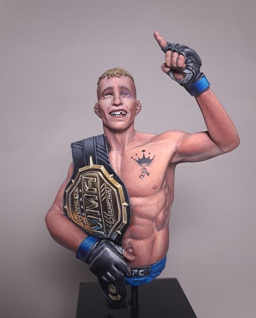 The Fighter