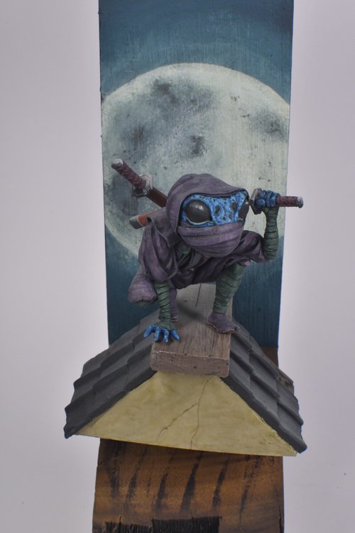 Ren - Frog Ninja
