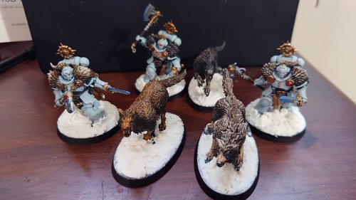 Wolf Guard Headtakers