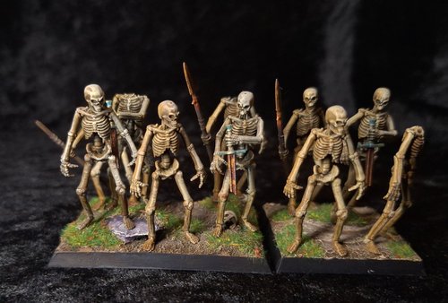 Bones