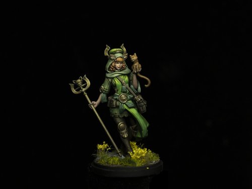 Cat Doctor from KDM
