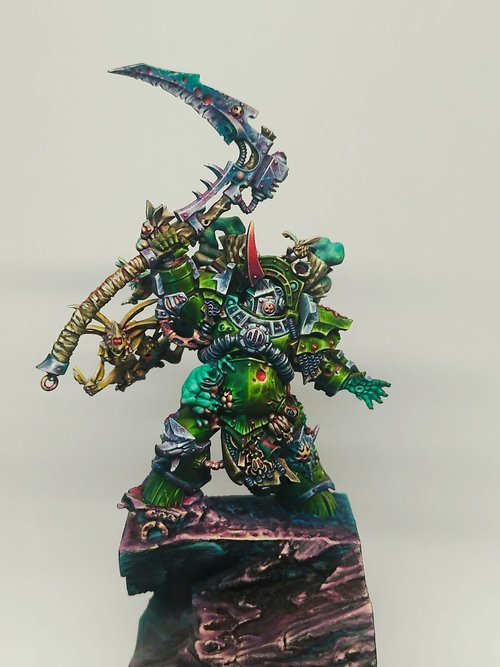 Typhus