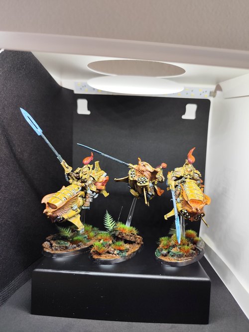 Custodes Vertus Preaturs