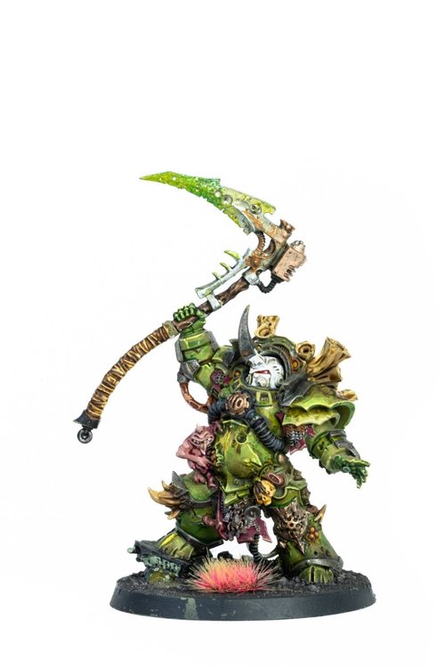 Typhus