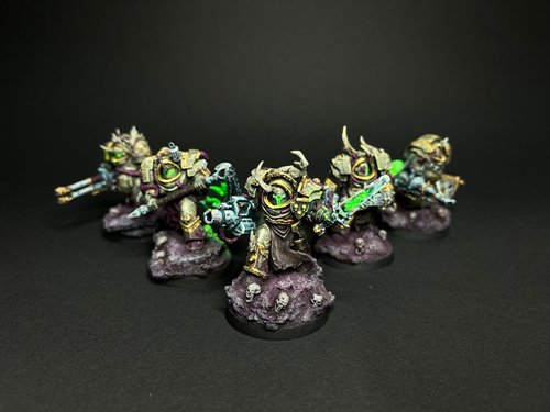 Plague Terminators