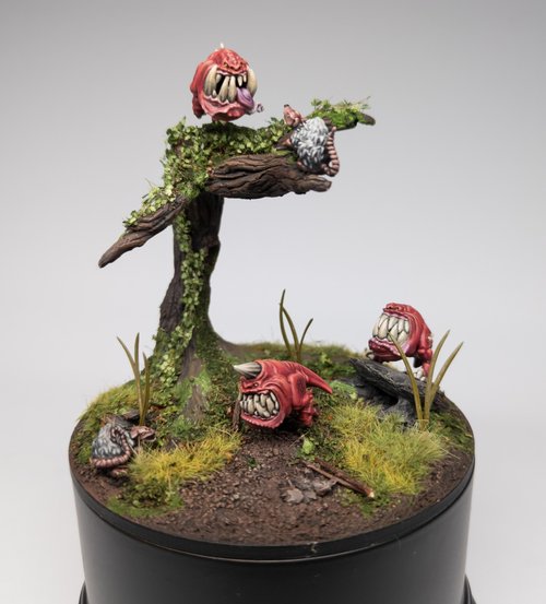 Squig meal