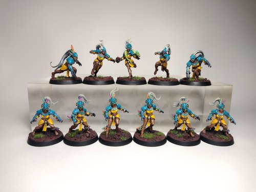 'Flip Mode Squad!' Amazon Blood Bowl Team
