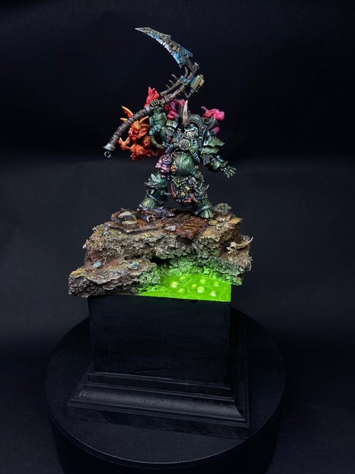 Typhus