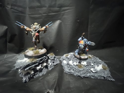 Space Wolves on Fenris