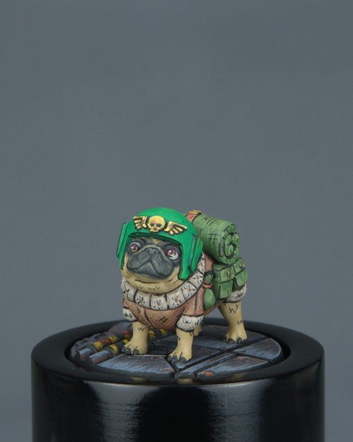 Private Pugnacious the GrimDerp Pug