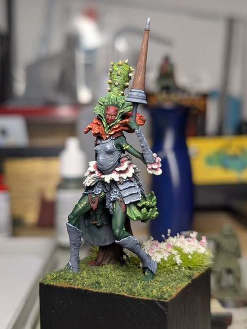 The Cacti Knight