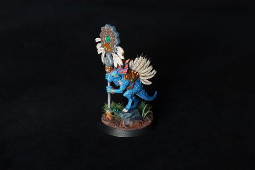 Skink Banner