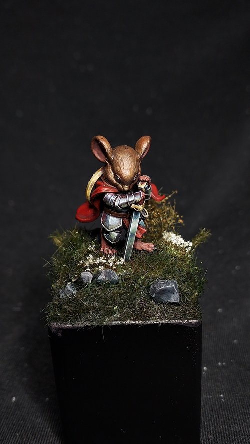 The Protector - Mouse Knight