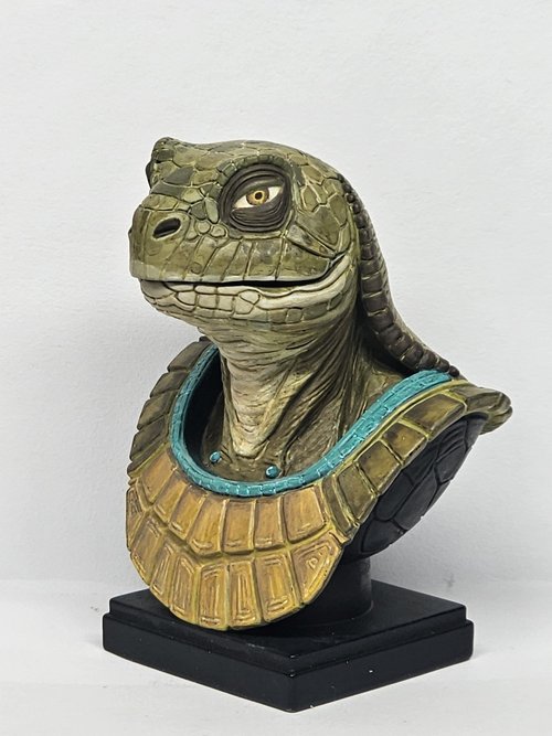 Turtle man