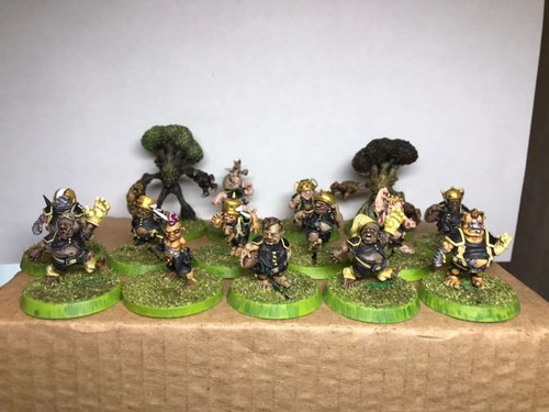Hobbit Saints Team
