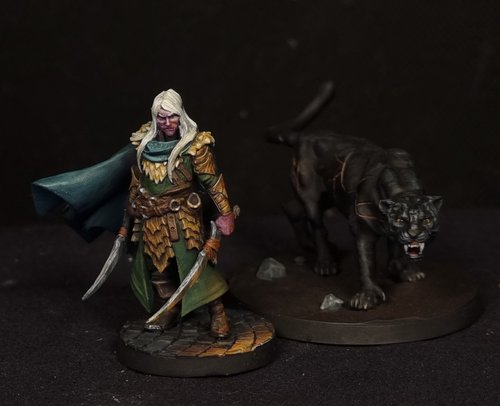 Dritzzt & Guenhwyvar