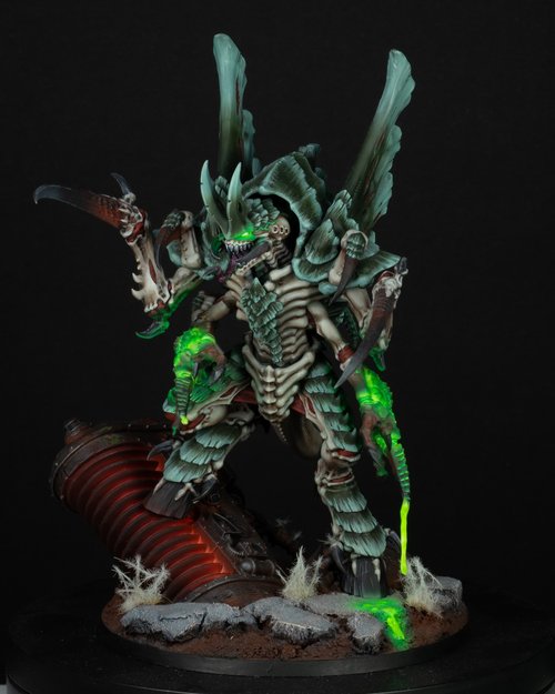 Norn Assimilator