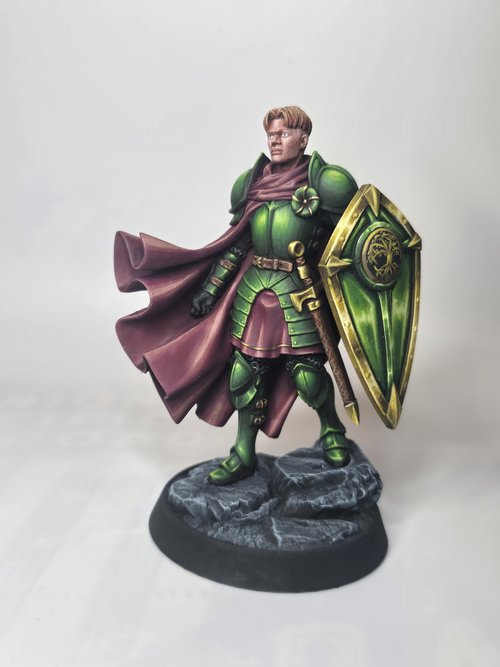 Aedan, The Valiant Shield