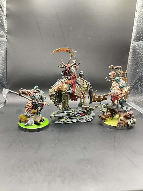 The maggots