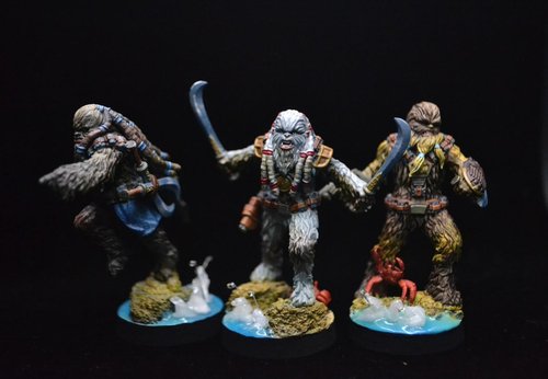 Wookies on the beach