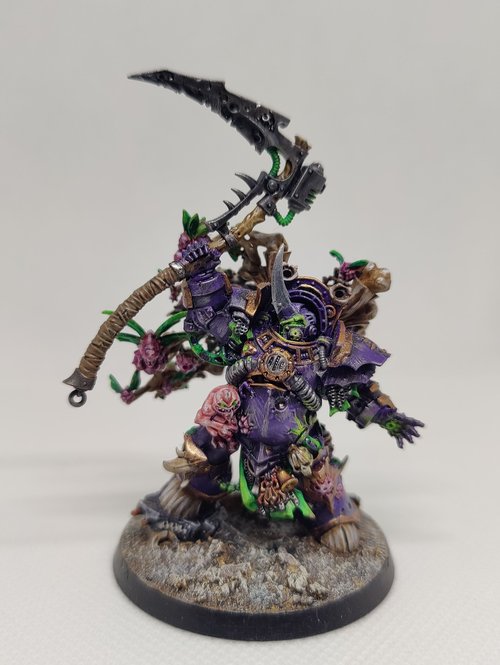 Typhus
