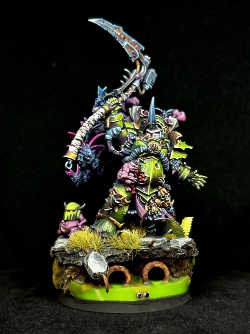 Typhus