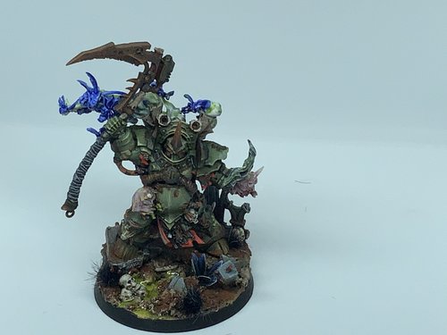 Typhus