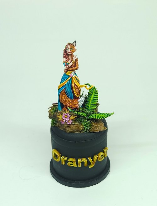 Dranyer