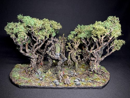 Fangorn Forest