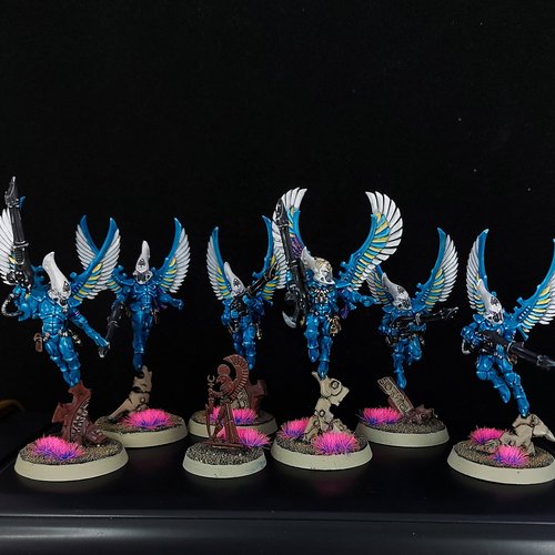 Swooping Hawks