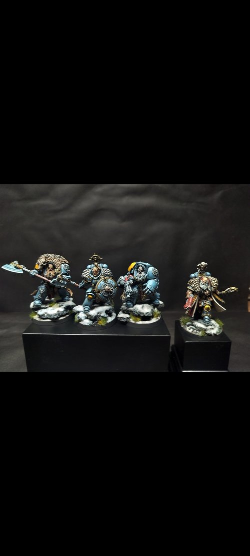 Spacewolves