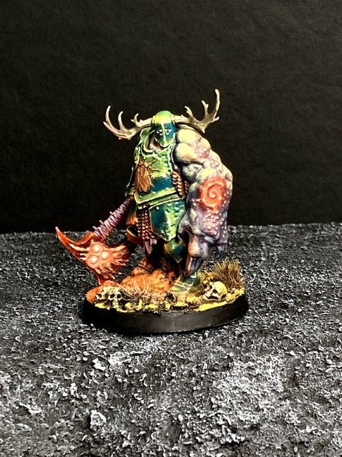 Nurgle Hero