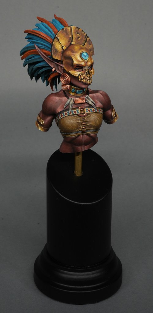 Darkskin elf