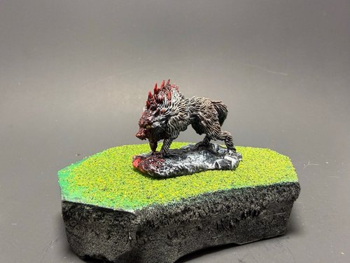 MY First Wolf