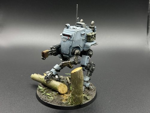 Sentinel on patrol