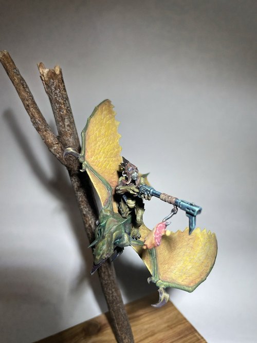 Great Kroothawk Rider