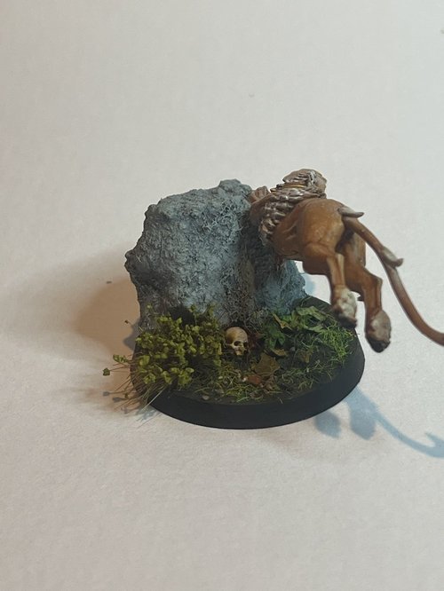 Hound
