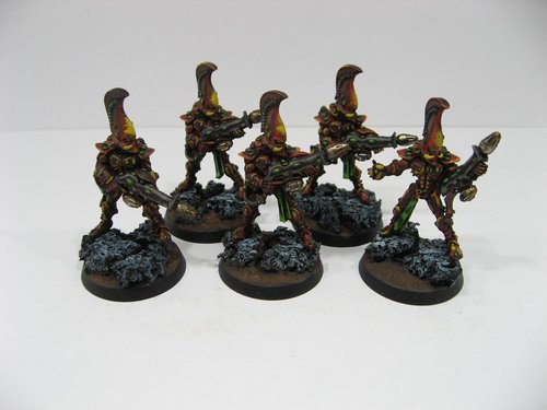 Fire Dragons
