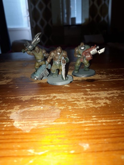 Nogryn's (darkskinned ogryns)