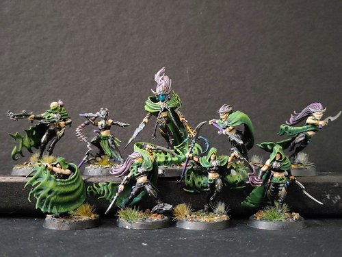 Ghyran Expedition Shadowstalkers