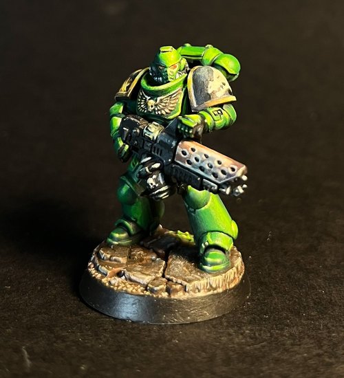 Salamander