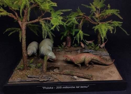 "Poland 205 million years ago"