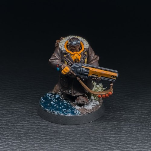 Winter Patrol