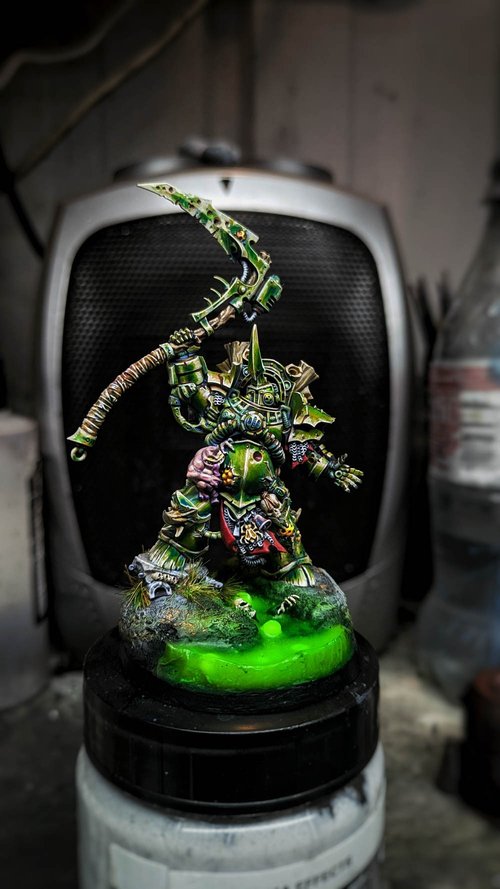 Typhus